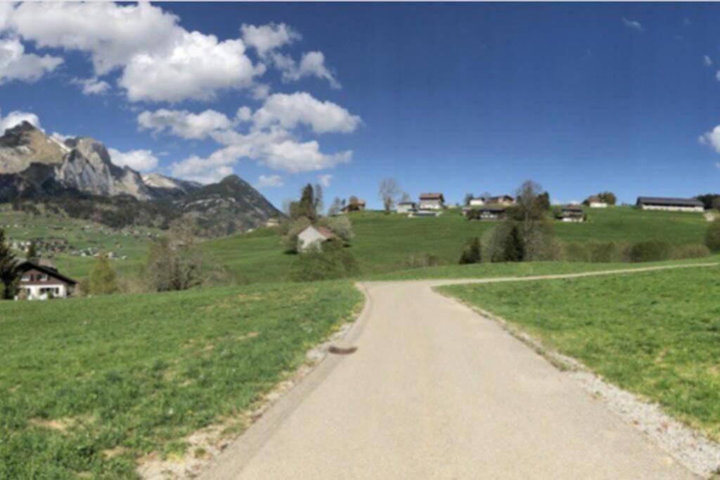 Beautiful Chalet On The Piste In Swiss Alps Alt St. Johann Exterior photo
